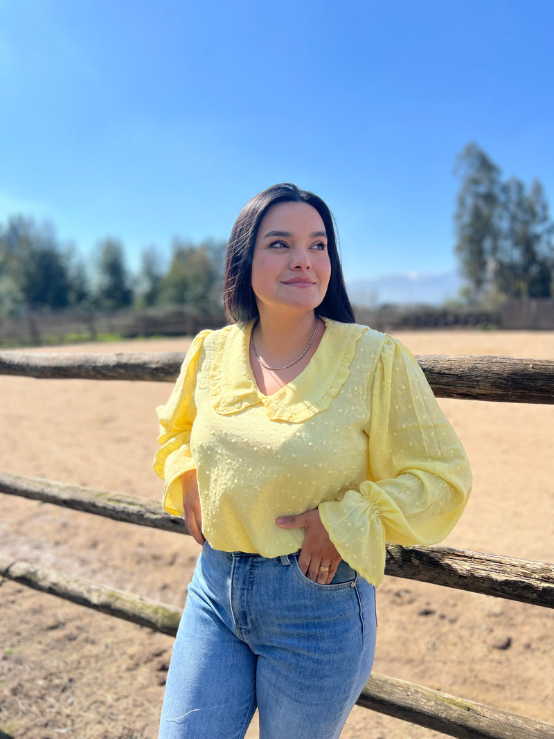 Blusa aurora