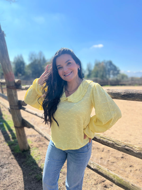 Blusa aurora