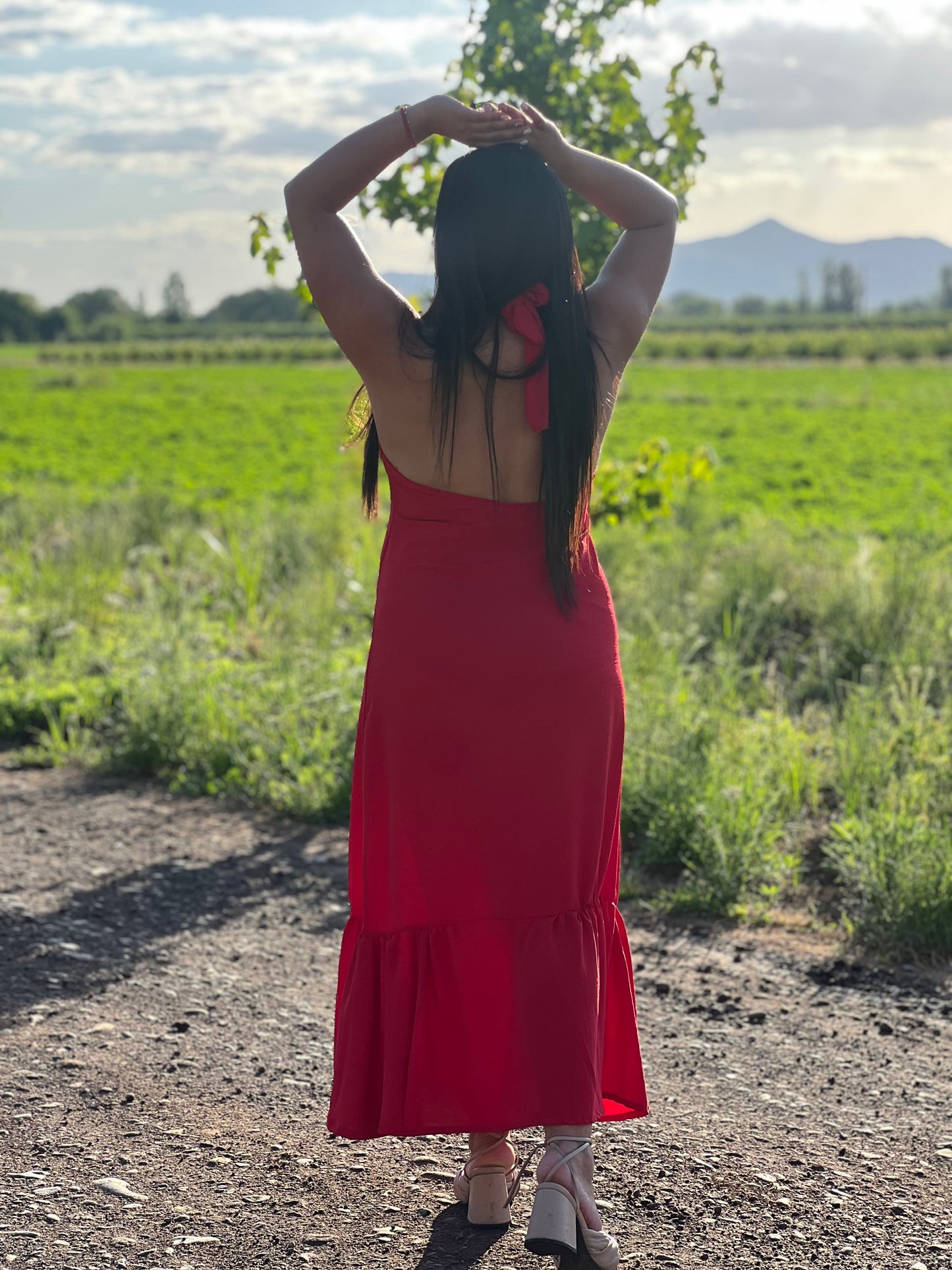 Vestido Rubi