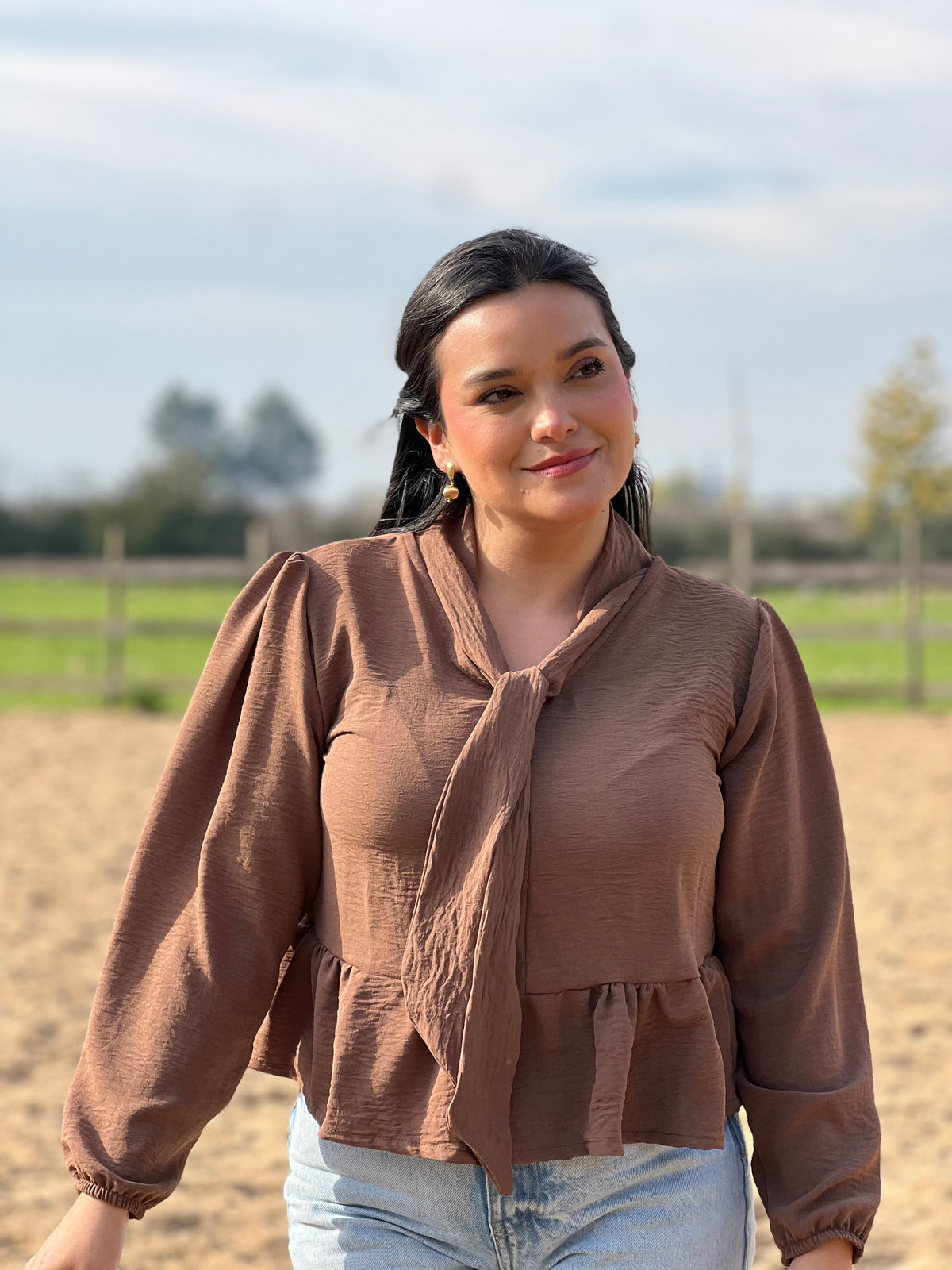 Blusa lazo café